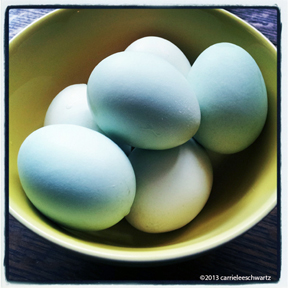Fresh eggs